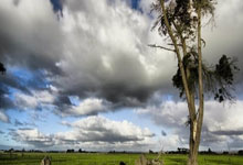 中国文化传媒集团有限公司