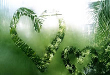 中国文化传媒集团有限公司